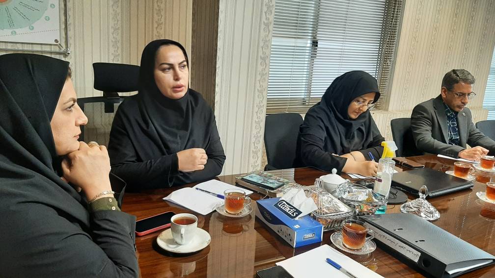 کمیته صیانت از حقوق شهروندی